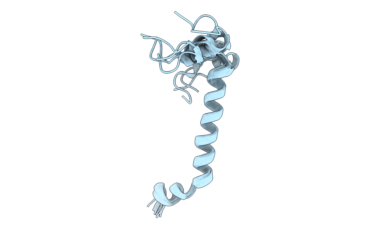 2L77 image
