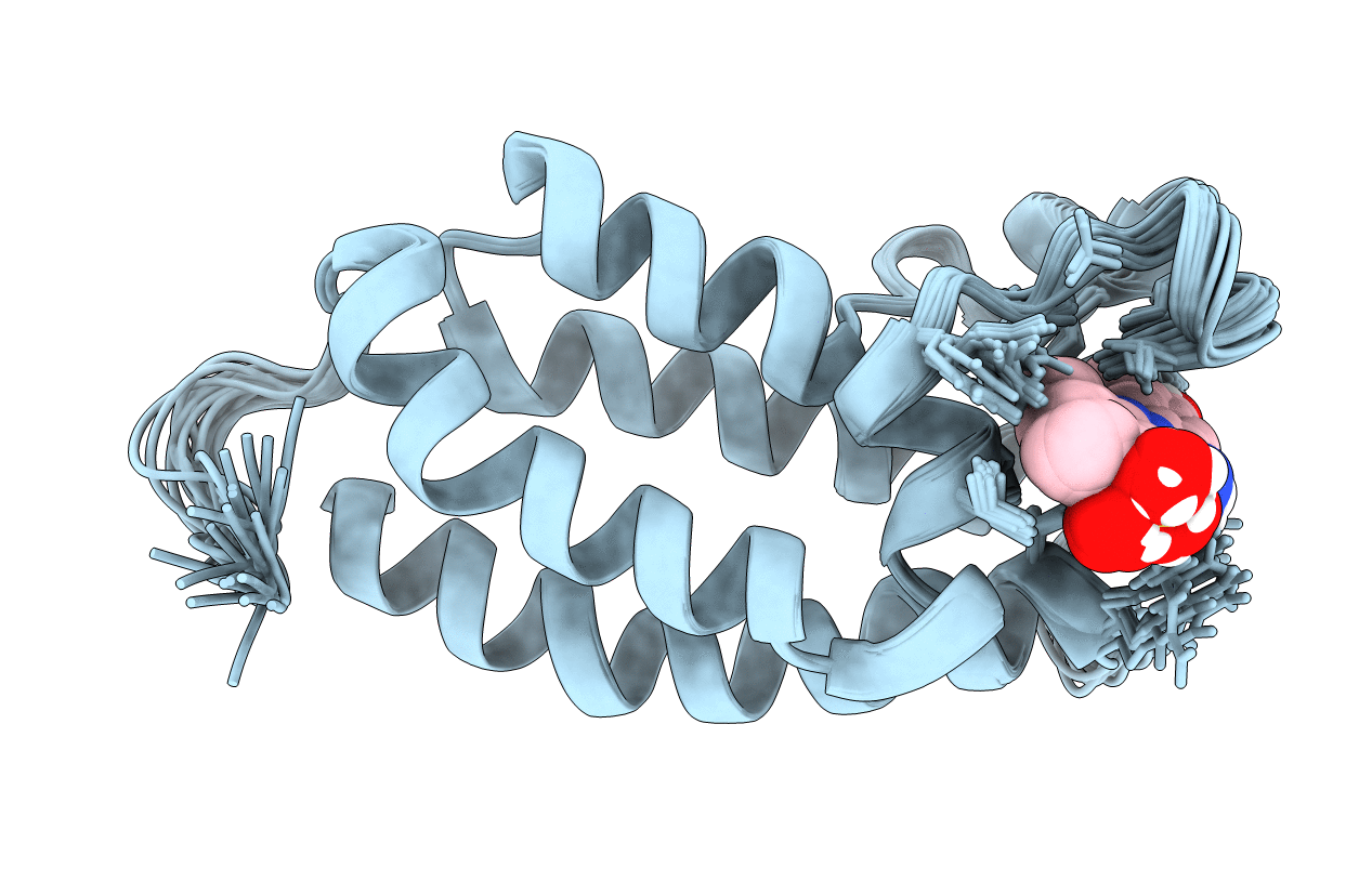 2L84 image