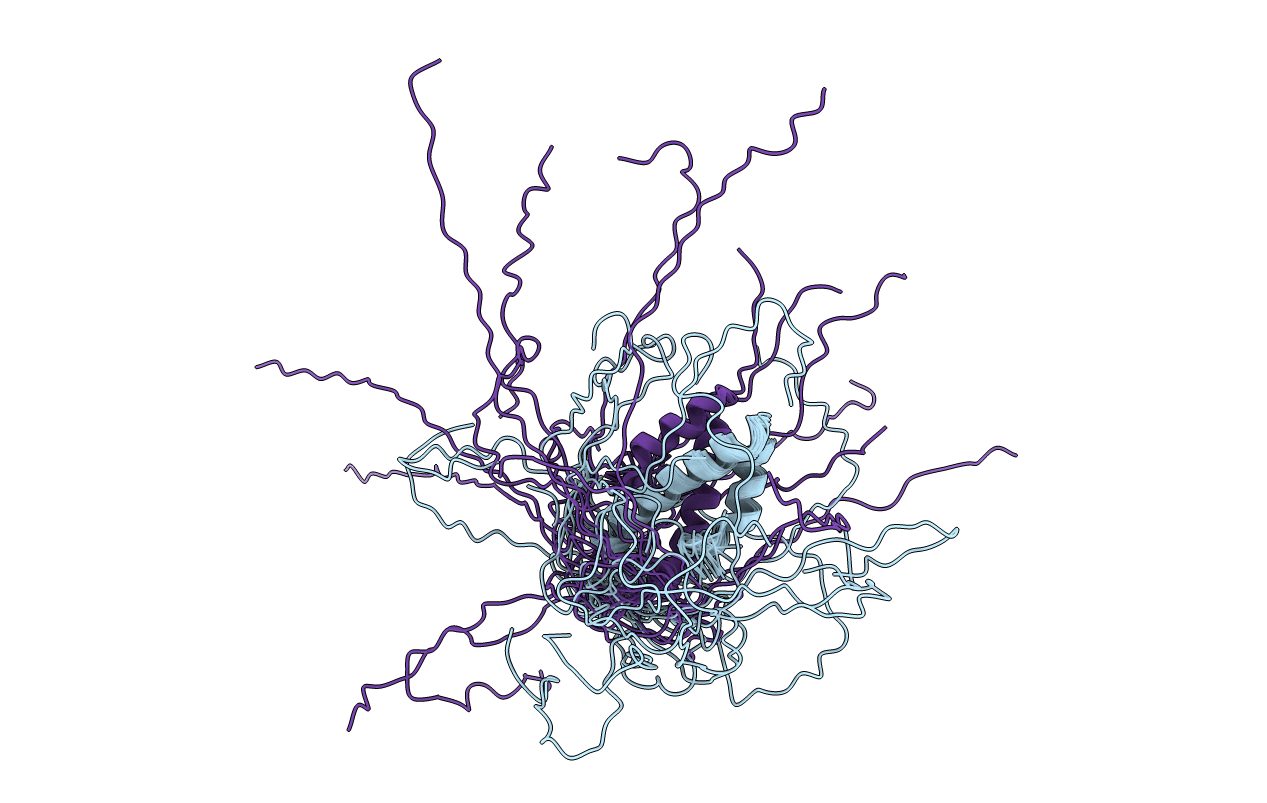 2L8T image