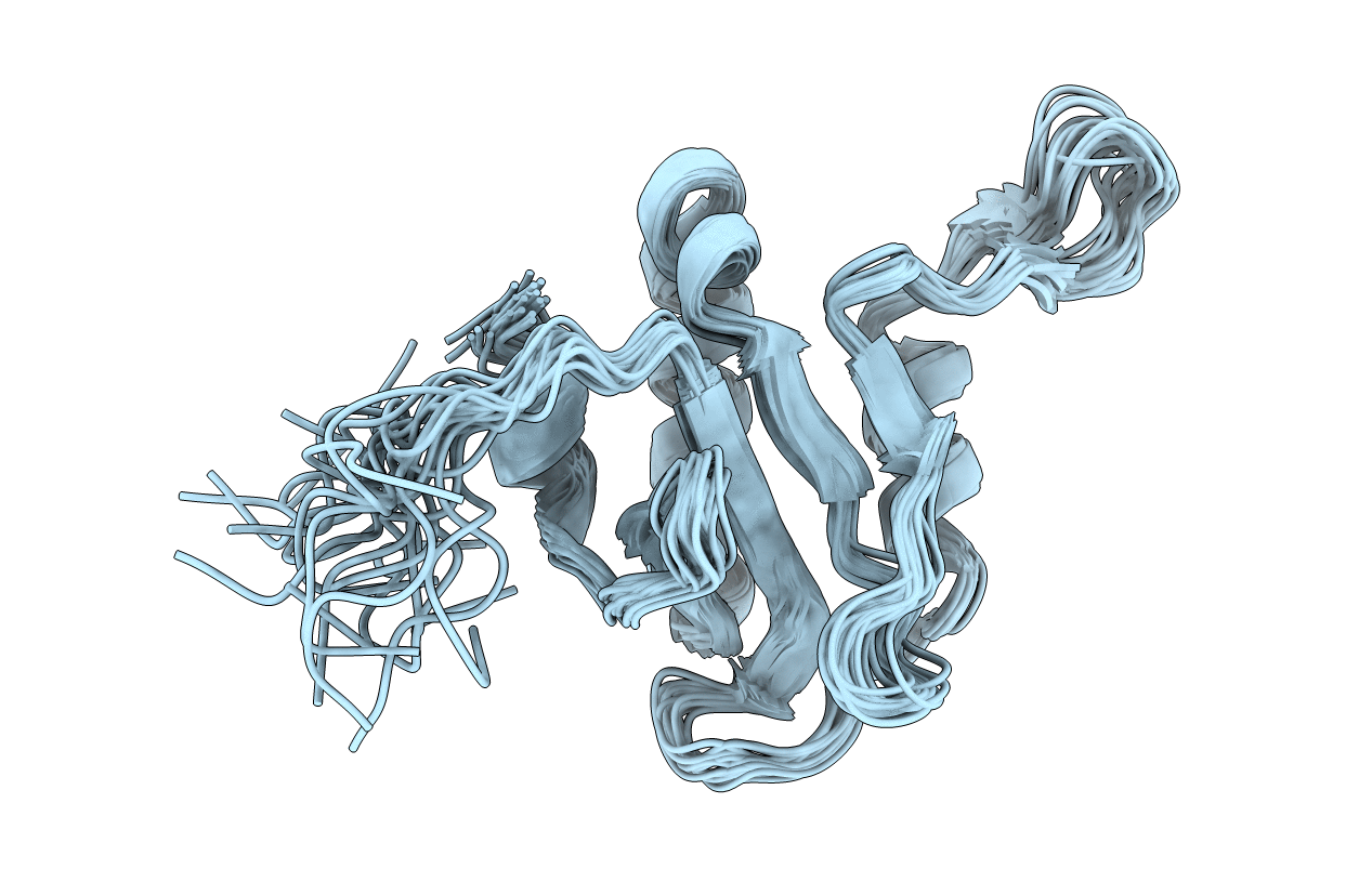 2L9D image