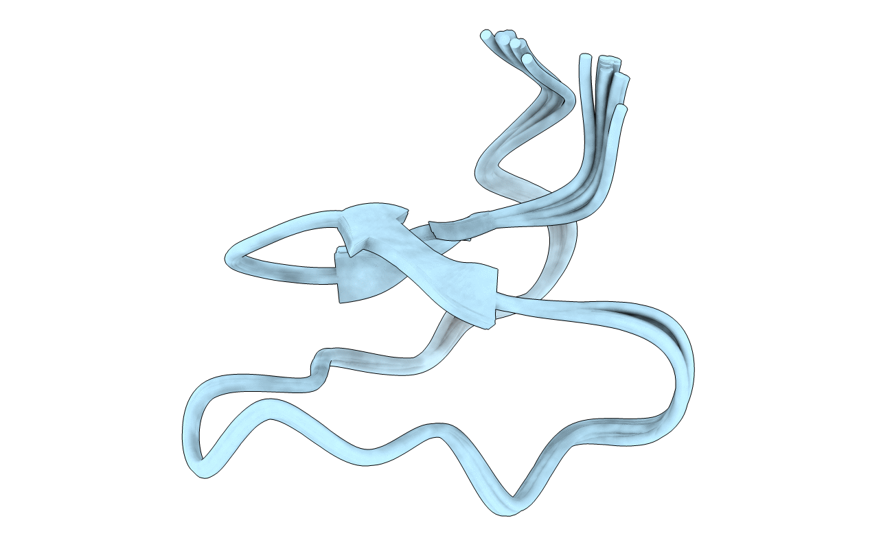 2LAM image
