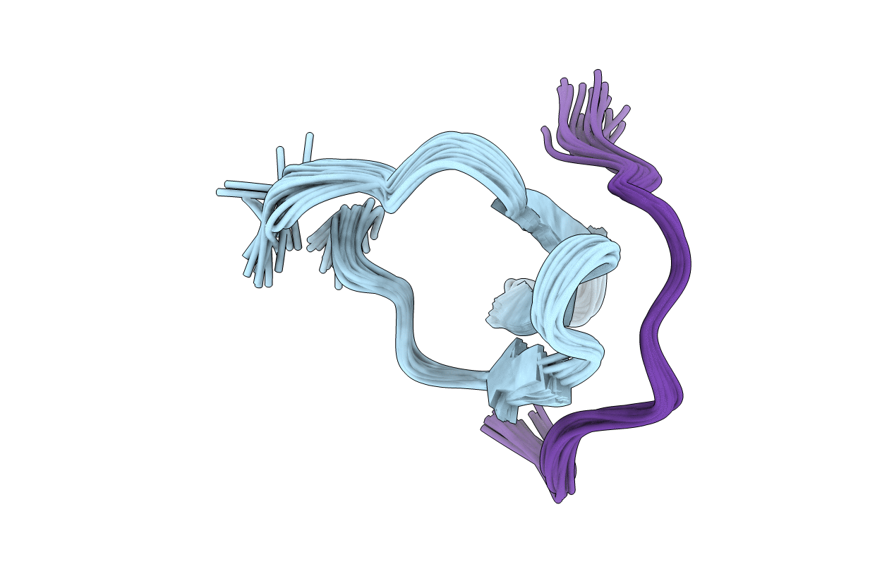 2LB1 image