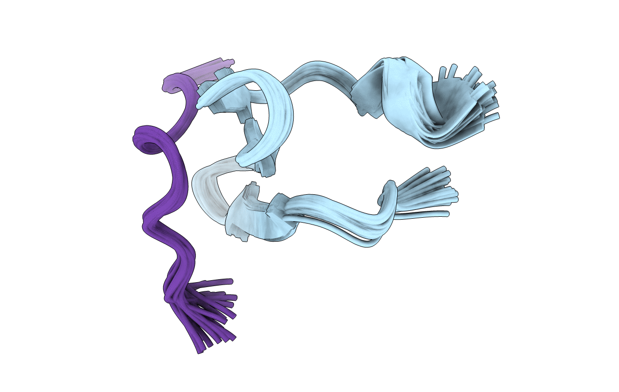 2LB2 image