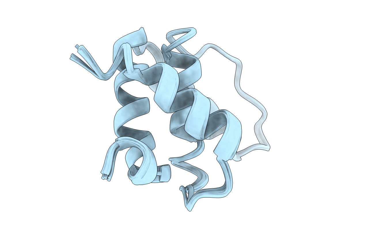 2LBB image