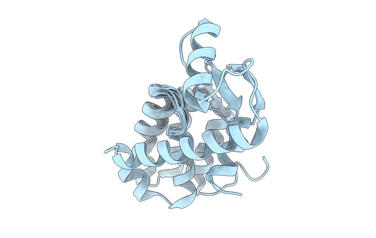 2LCB image