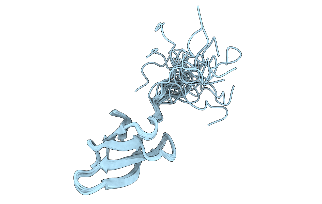 2LCL image