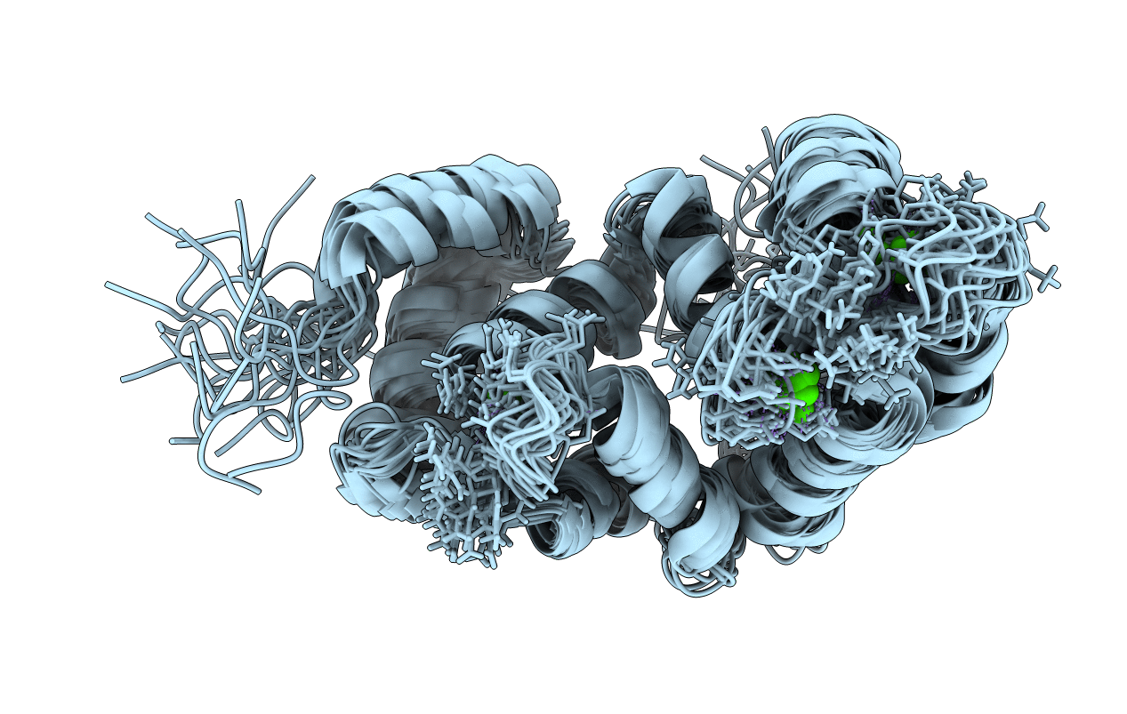 2LCP image