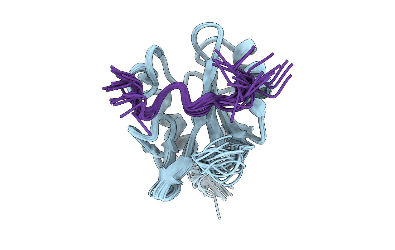 2LCT image