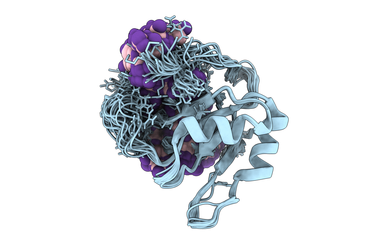 2LEC image
