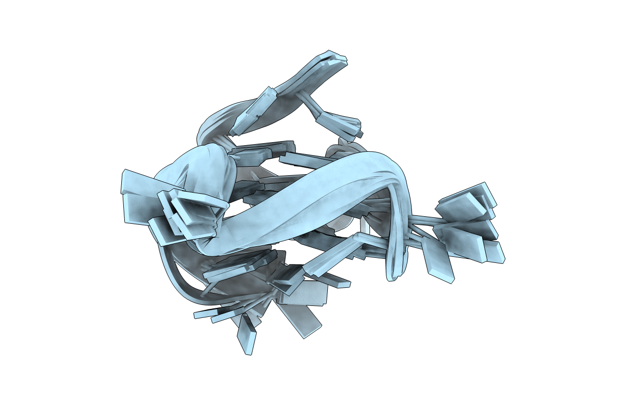 2LEE image