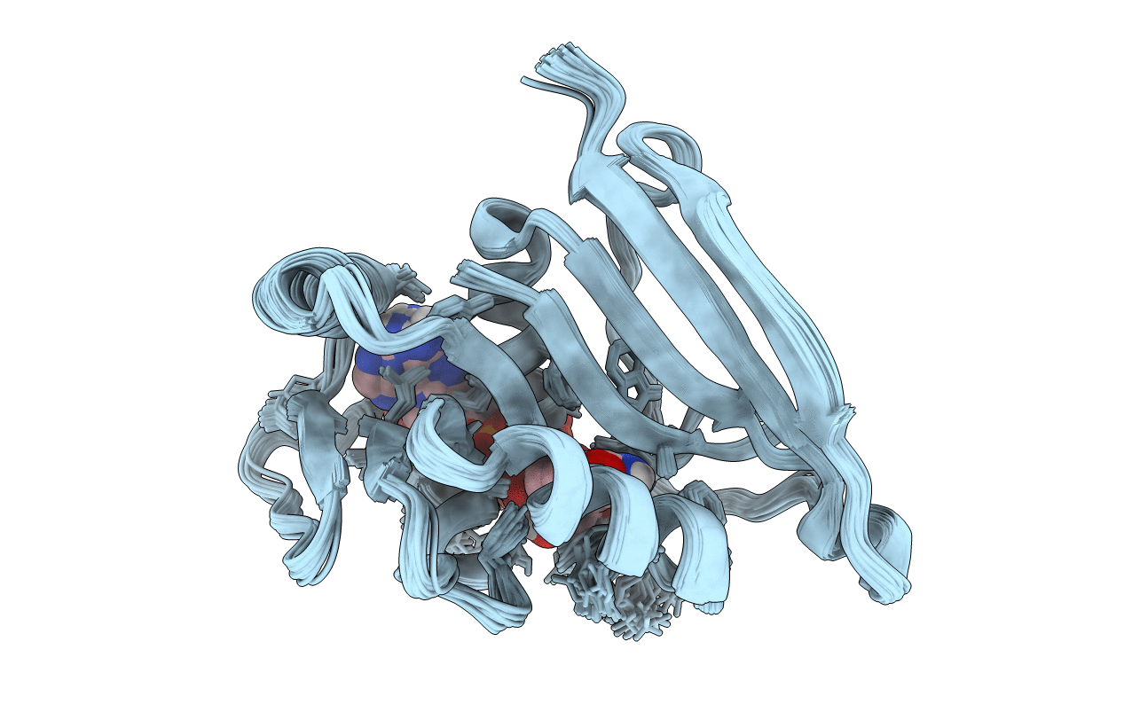 2LF1 image