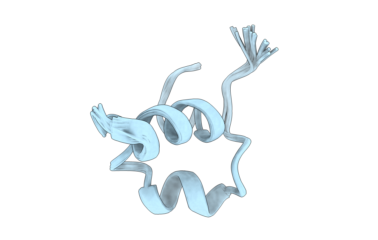 2LG4 image