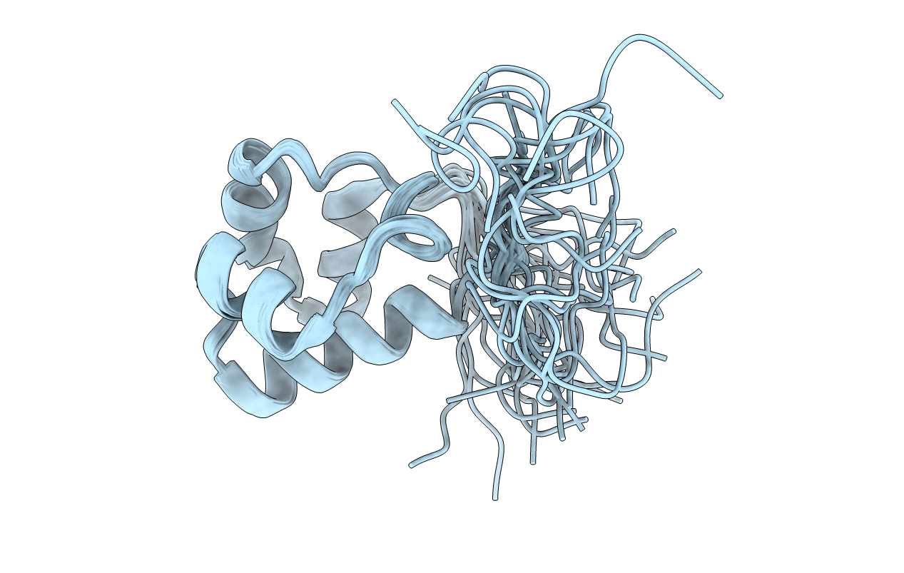 2LMR image