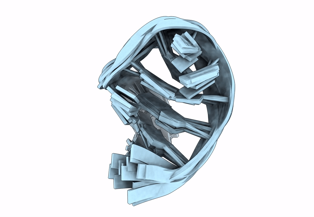 2LO5 image