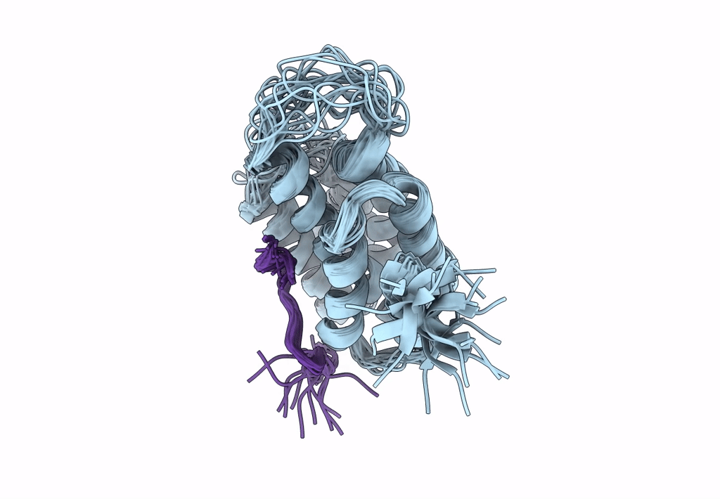2LO6 image