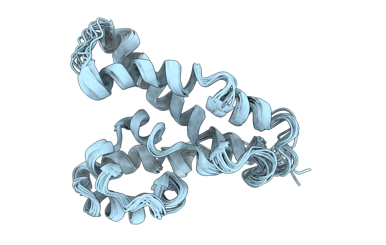 2LPE image