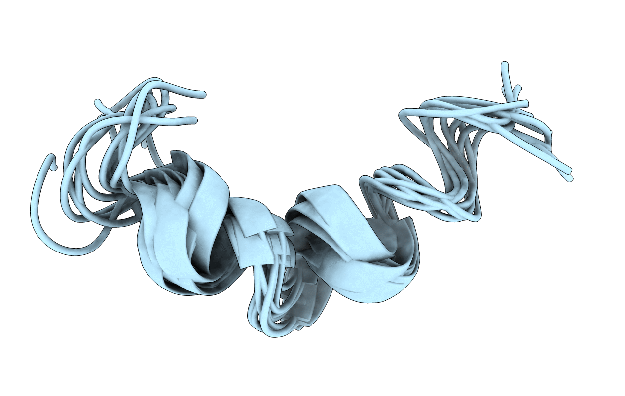 2LSA image
