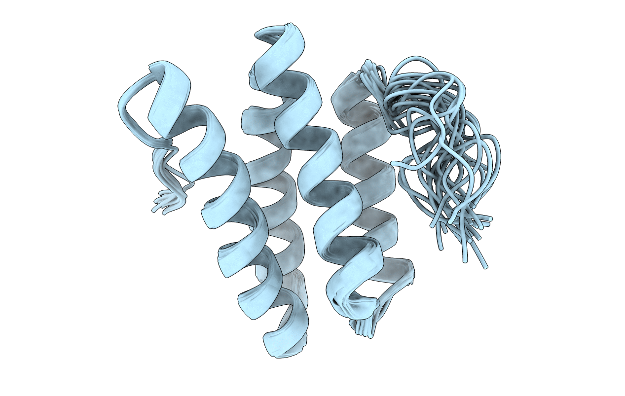 2LSG image