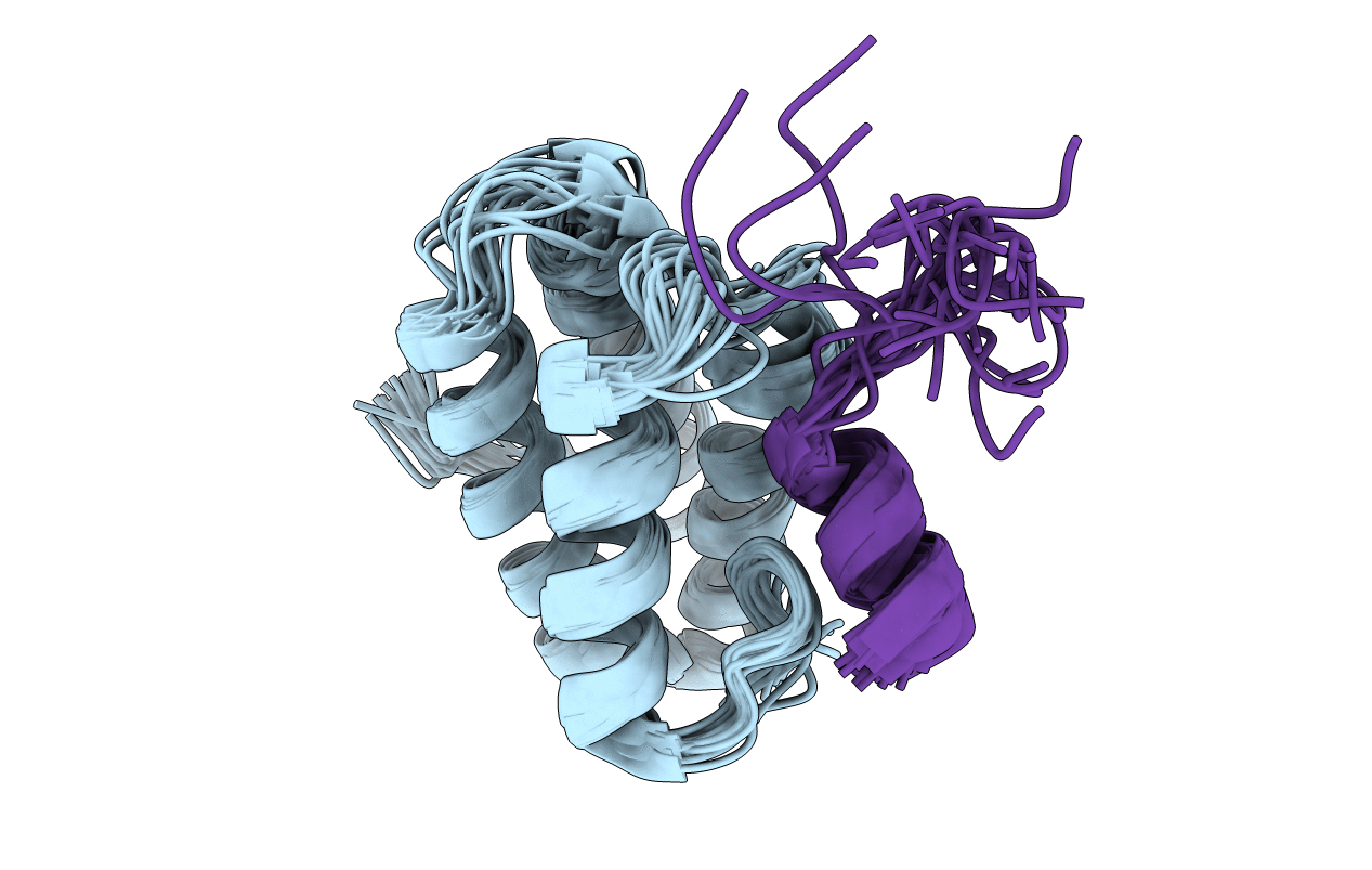 2LSK image