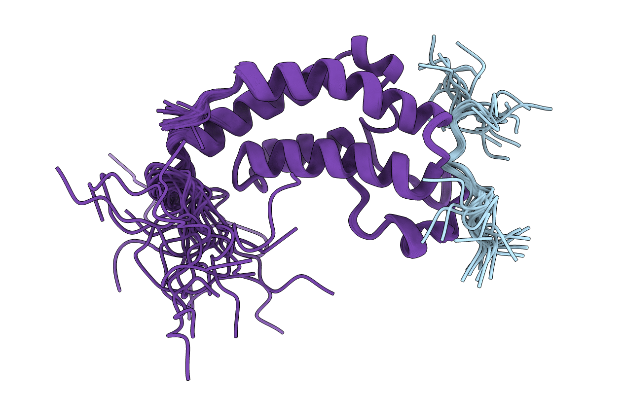 2LSP image