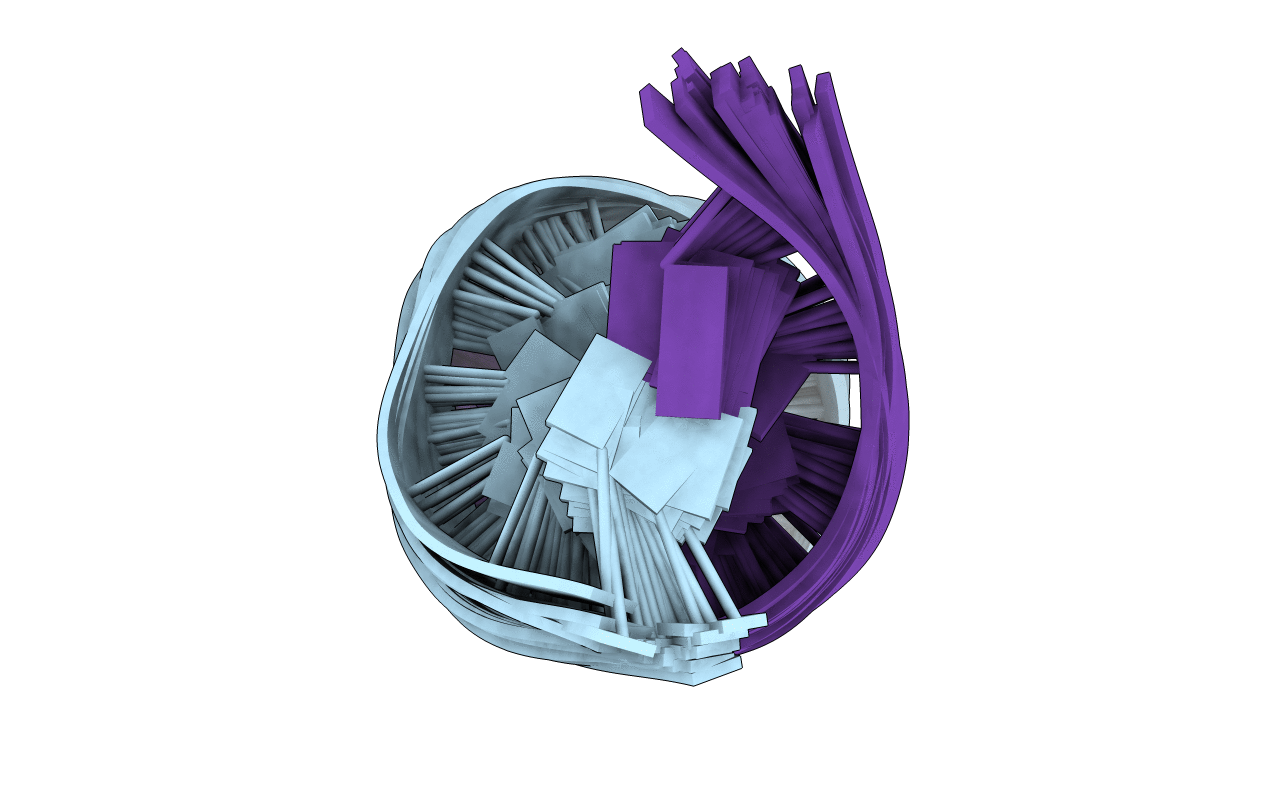 2LSZ image