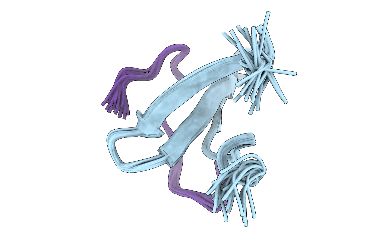 2LTZ image