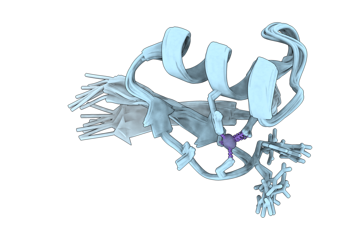 2LVH image
