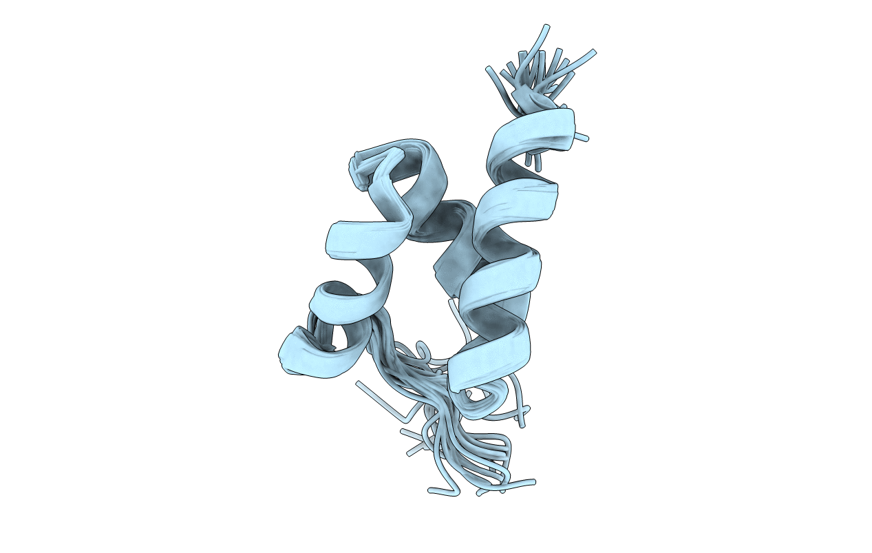2LVN image