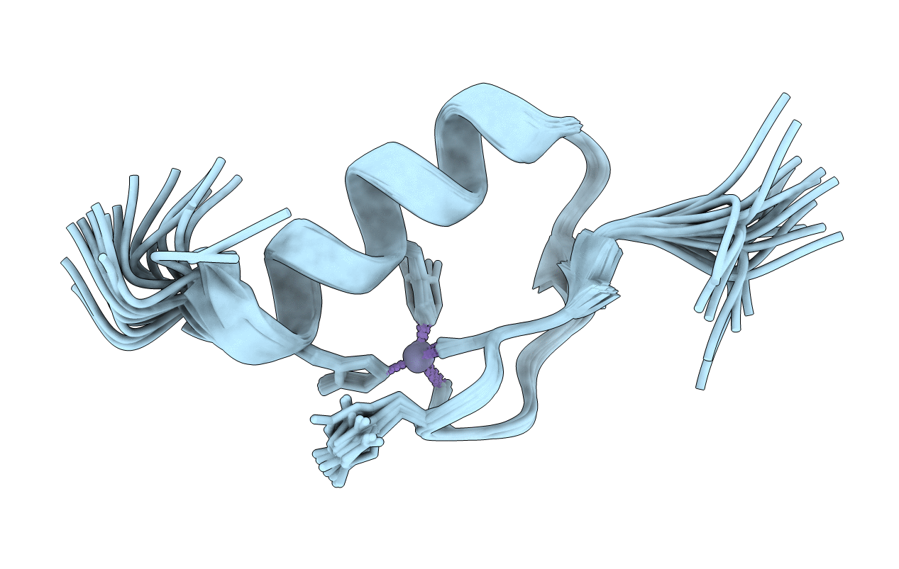 2LVR image