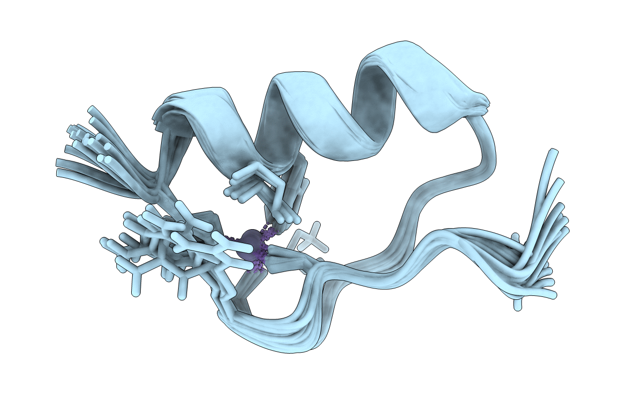 2LVU image