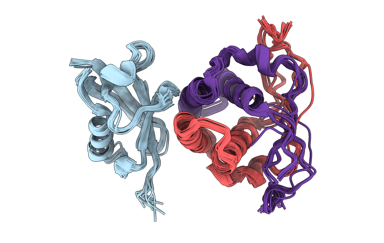 2LXC image