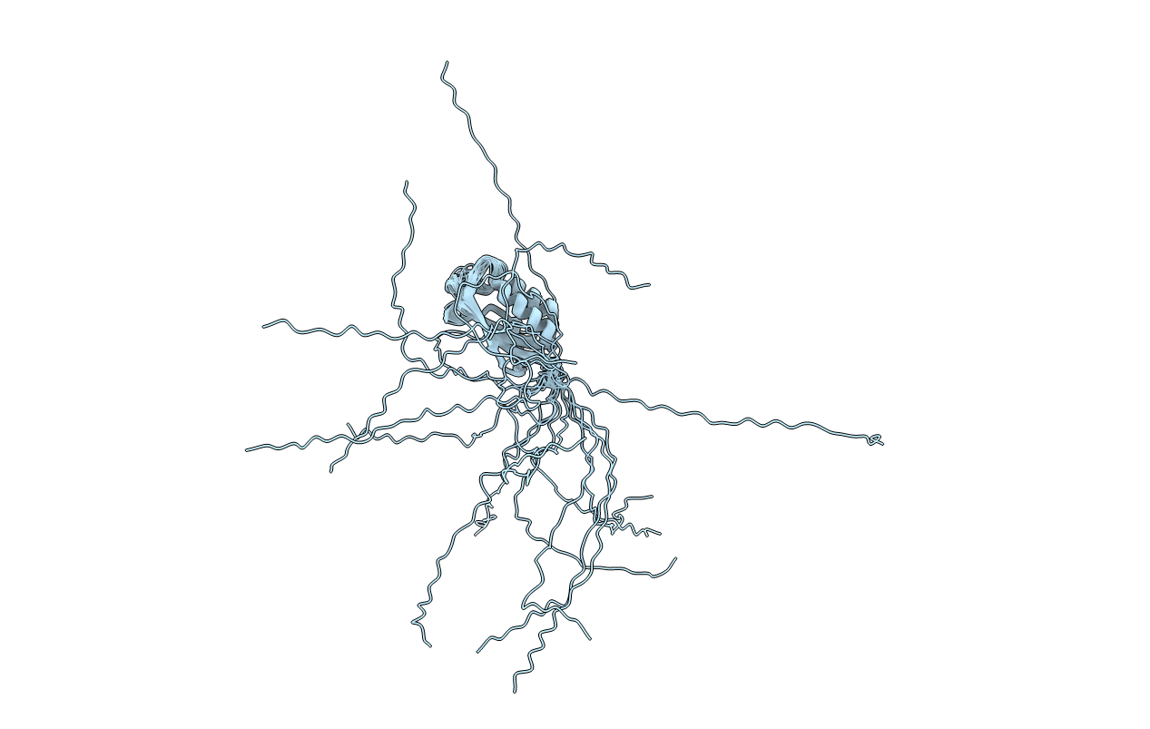 2LXF image