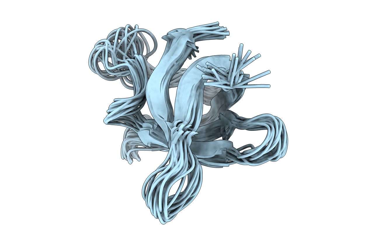 2LXJ image