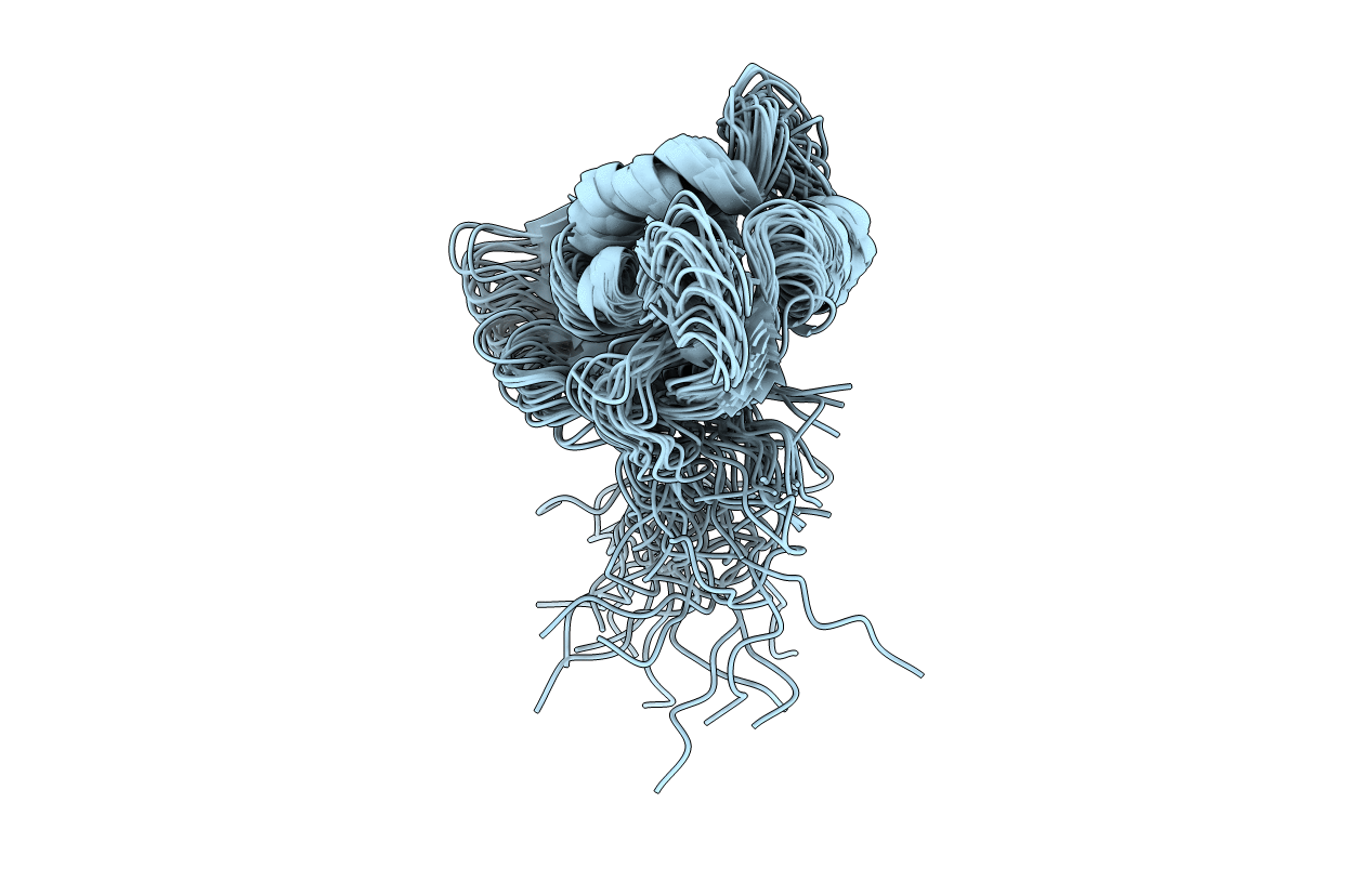 2M1B image