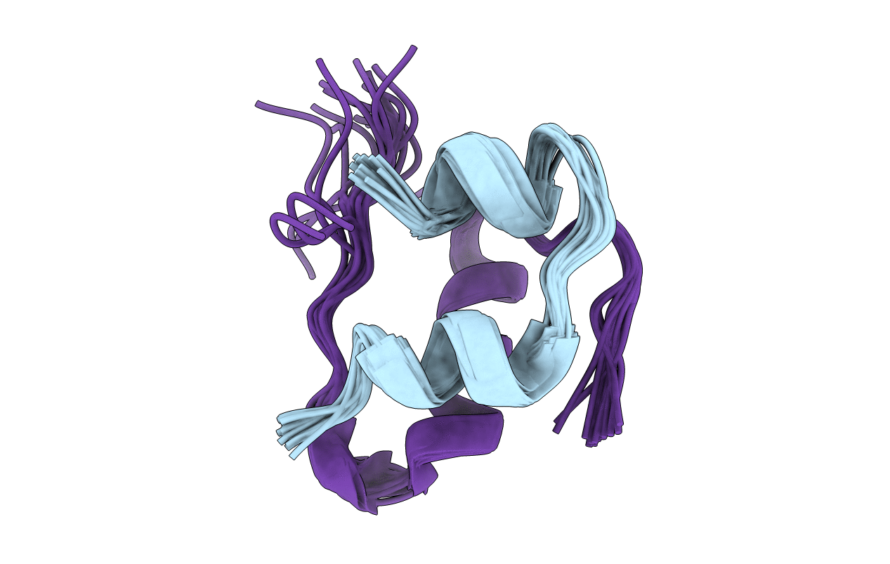 2M1E image
