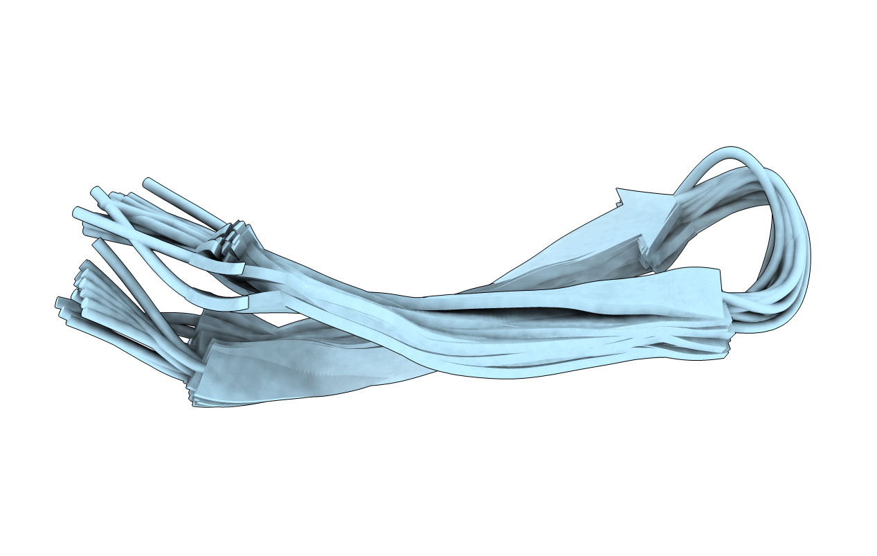 2M2G image