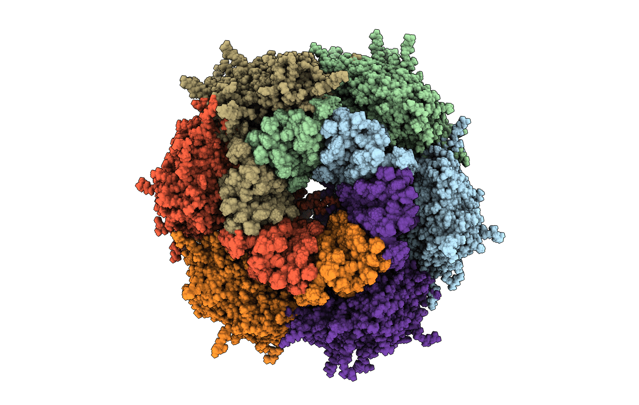 2M3X image
