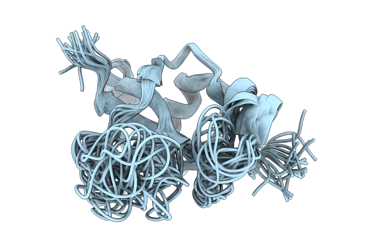 2M4N image