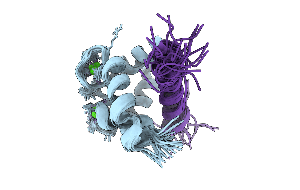 2M5E image