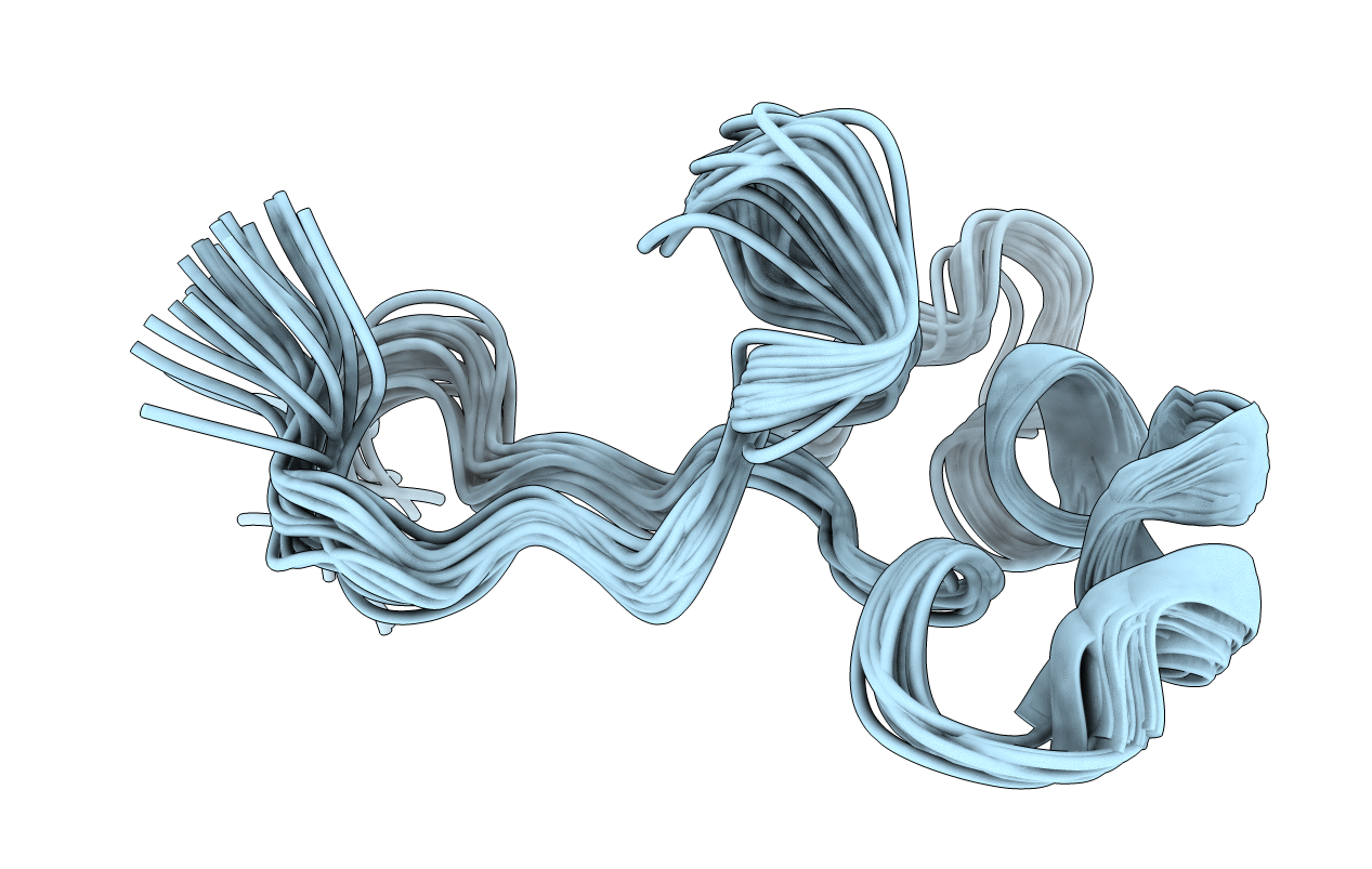 2M5F image