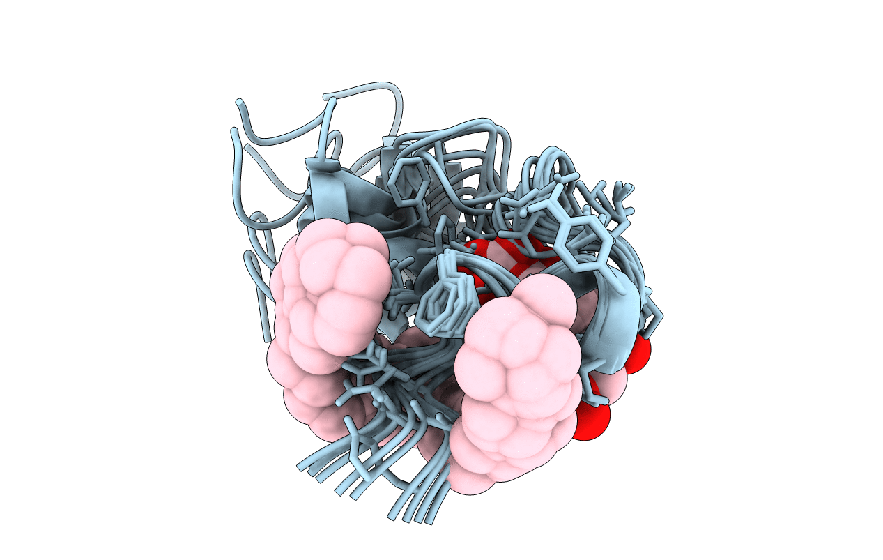2M5P image