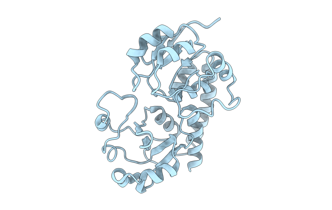 2M6K image