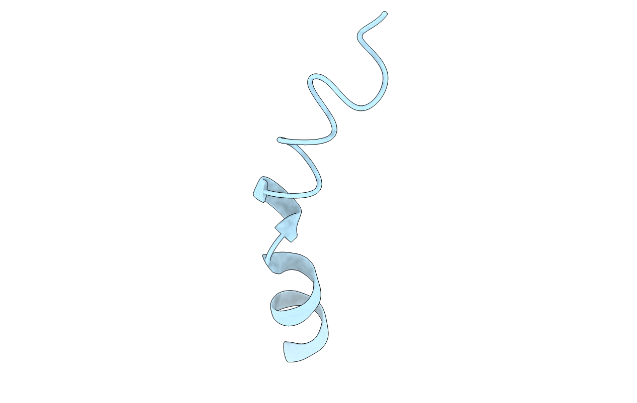 2M73 image