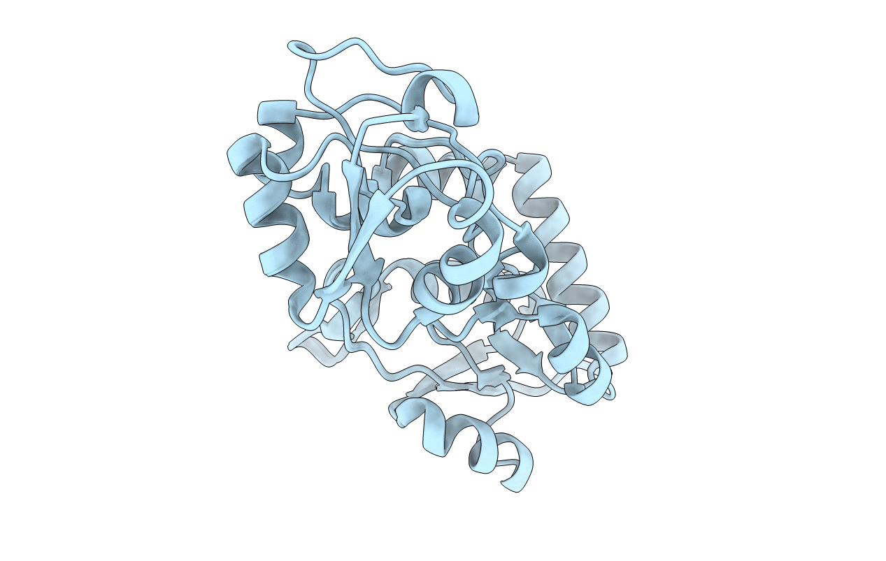 2M8C image