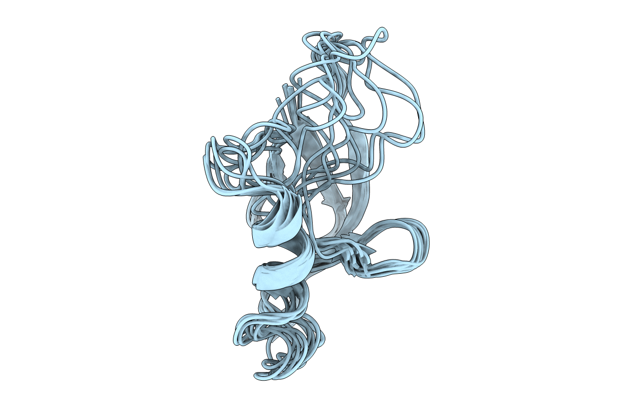 2MBE image