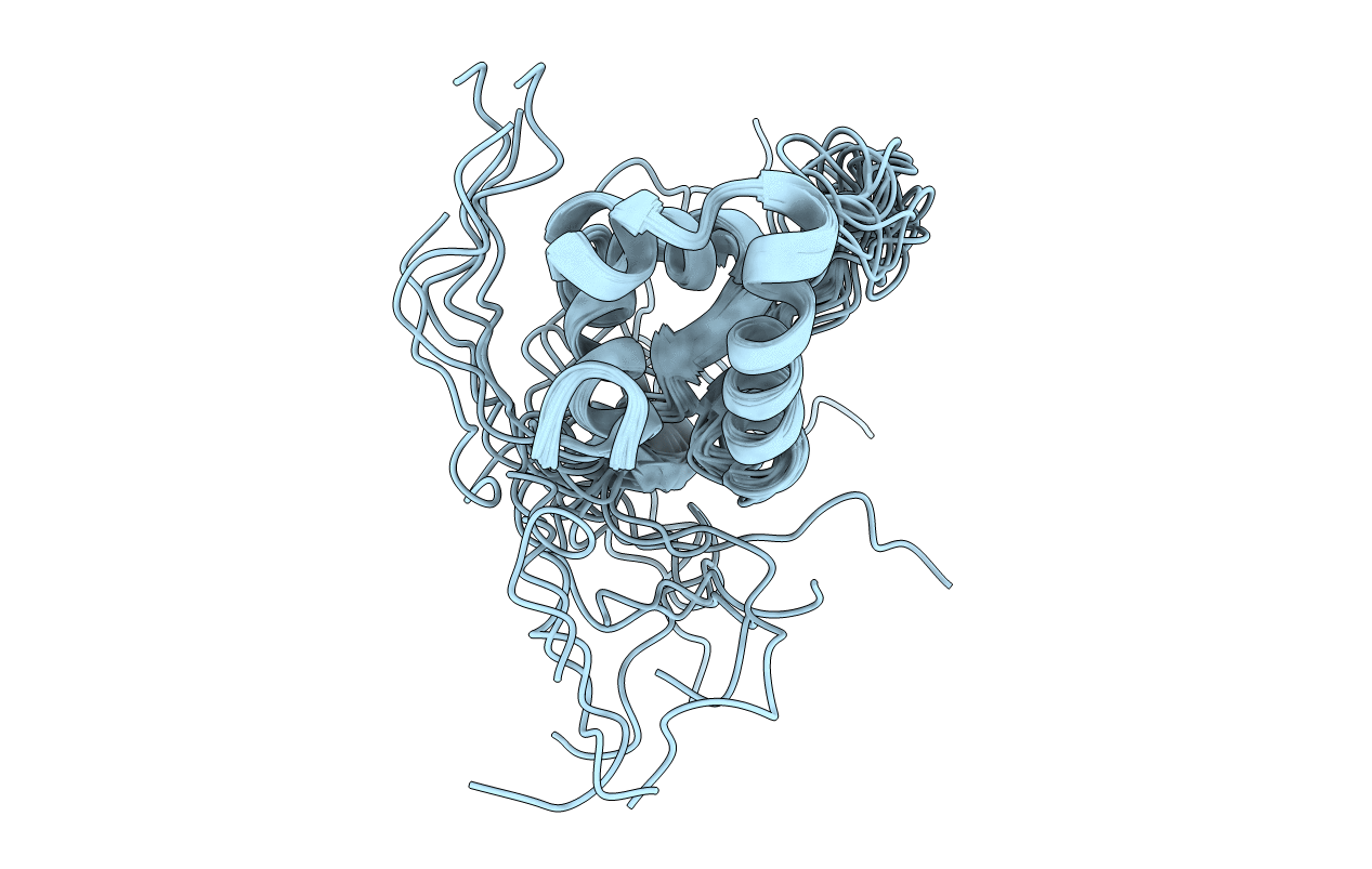 2MBF image