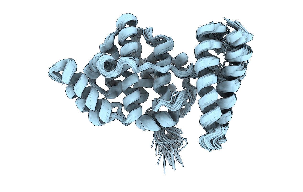 2MBG image