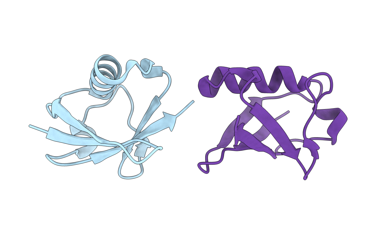 2MBO image