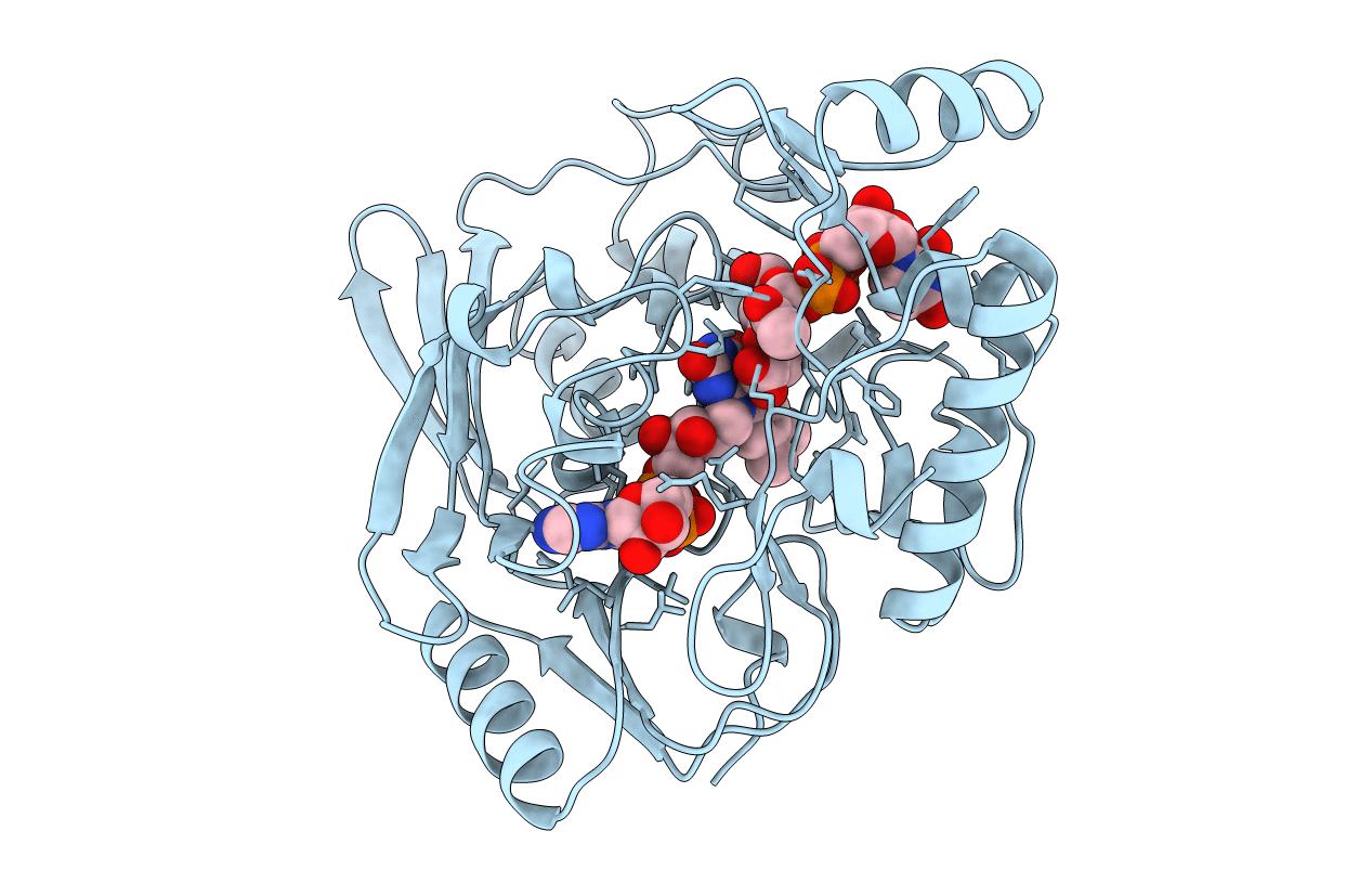 2MBR image