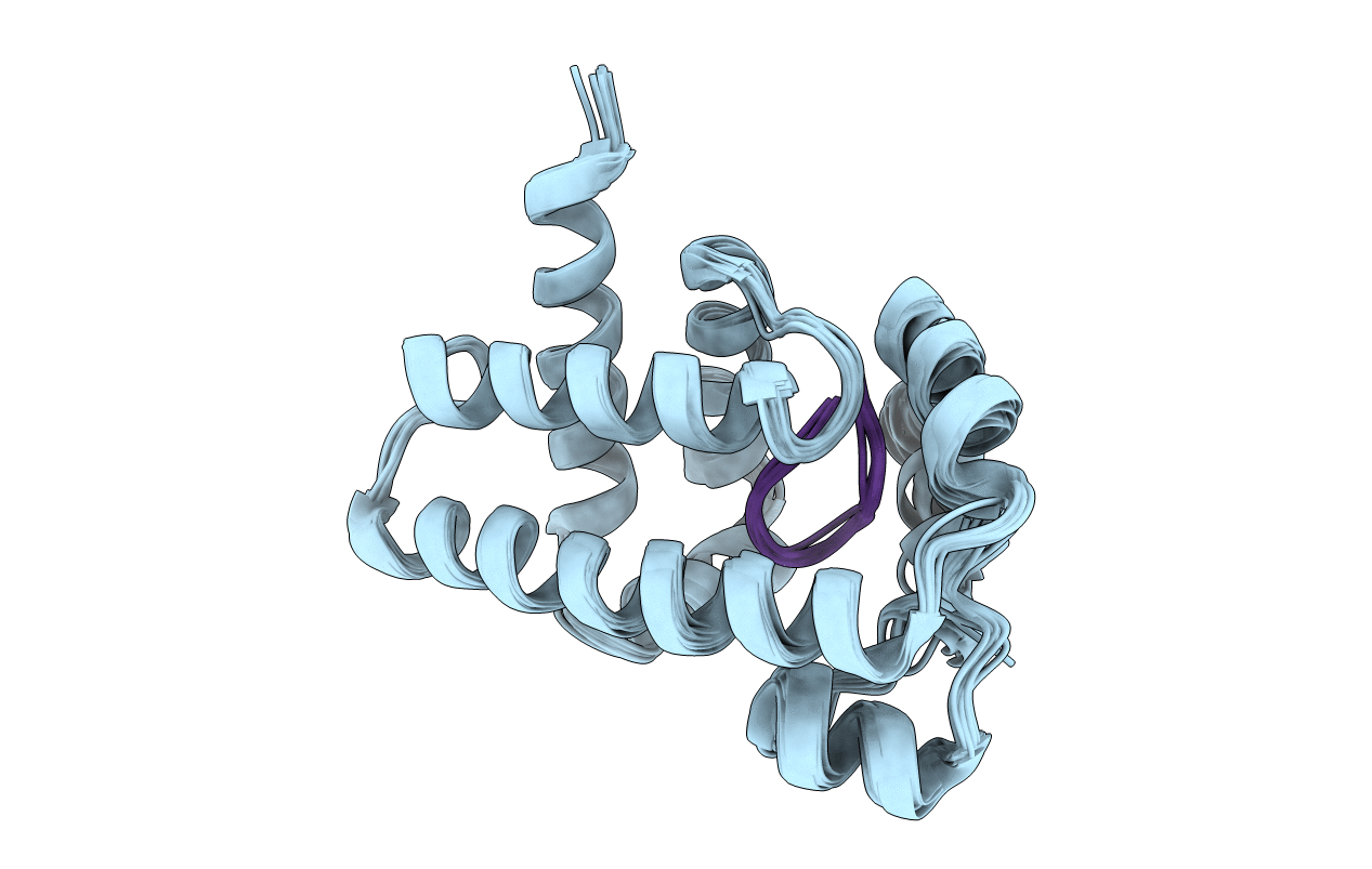 2MBZ image